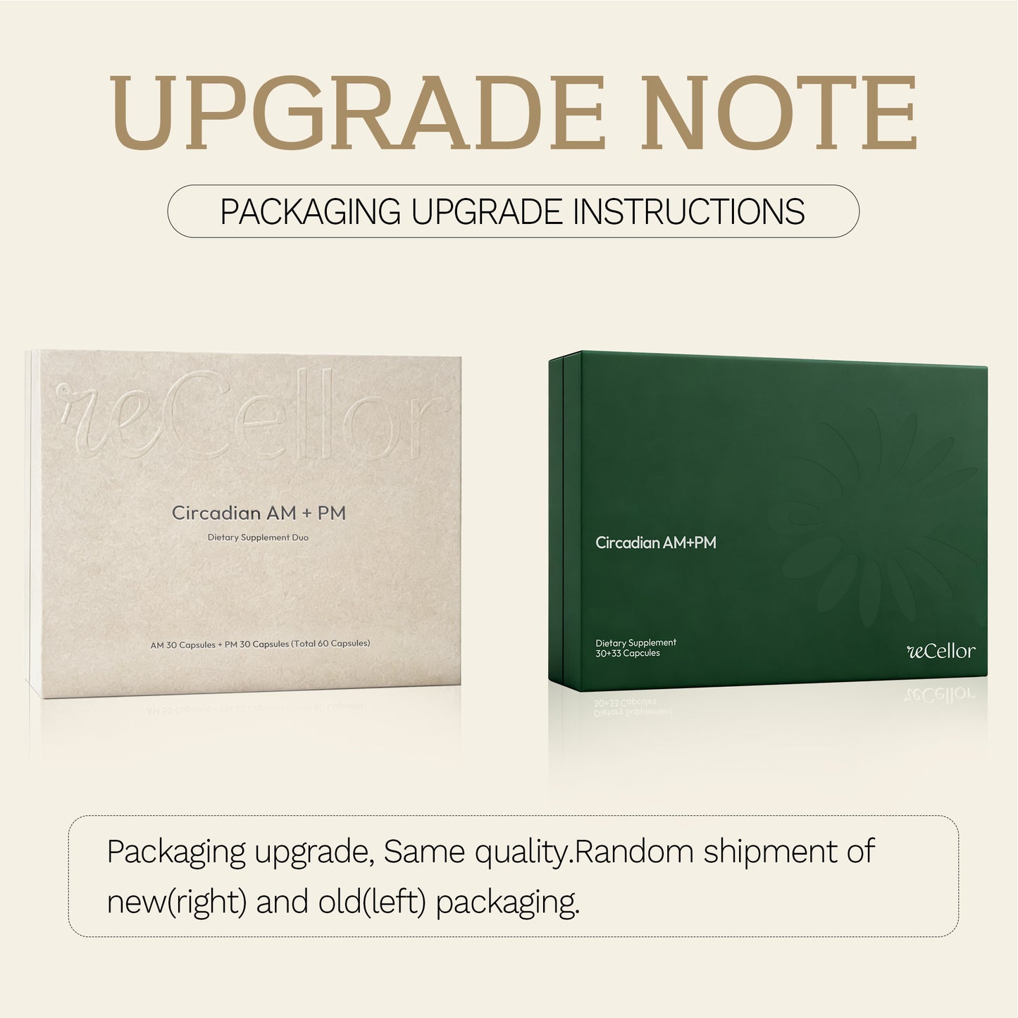 recellor -Circadian AM+PM
